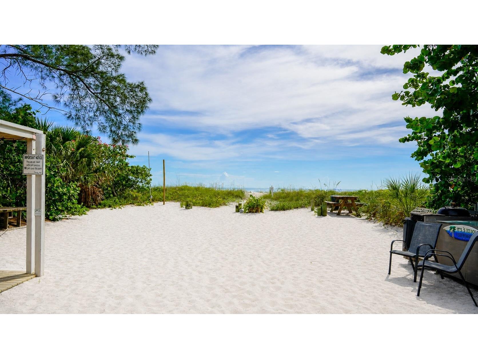 10200 Gulf Boulevard Treasure Island FL 33706 R4911204 image7