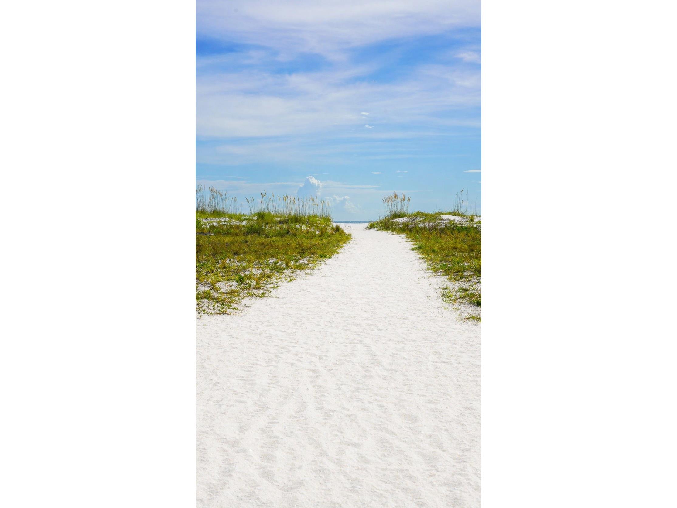 10200 Gulf Boulevard Treasure Island FL 33706 R4911204 image8