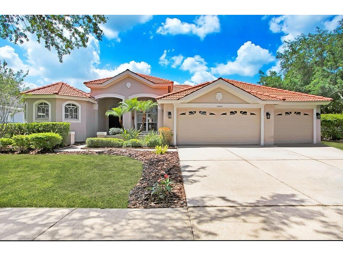 10201 Arbor Side Drive Tampa FL 33647 T3446368 image1