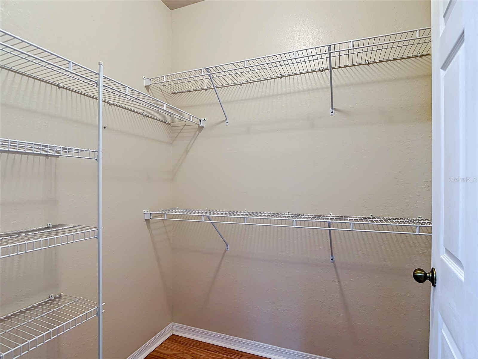 10201 Courtney Palms Boulevard #203 Tampa FL 33619 TB8503765 image41