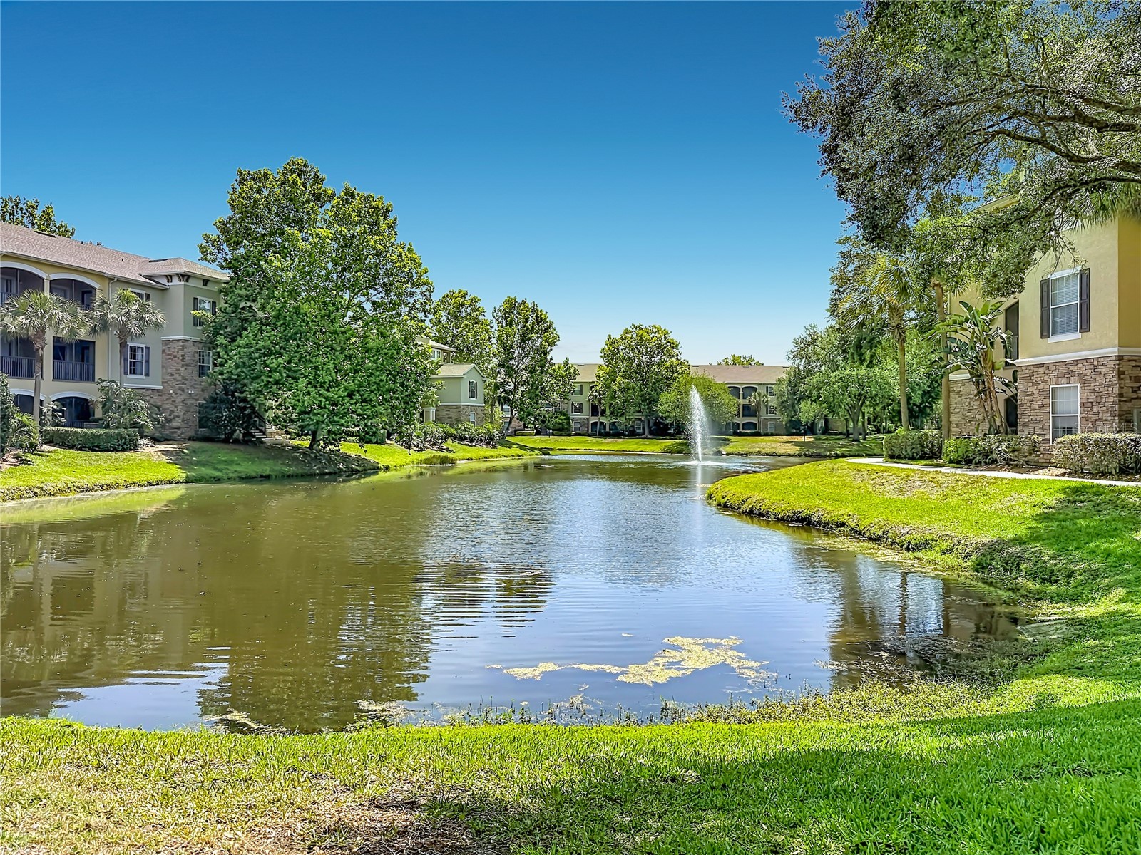 10201 Courtney Palms Boulevard #203 Tampa FL 33619 TB8503765 image61