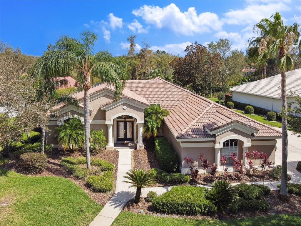 10201 Cypress Links Drive Tampa FL 33647 T3518615 image1