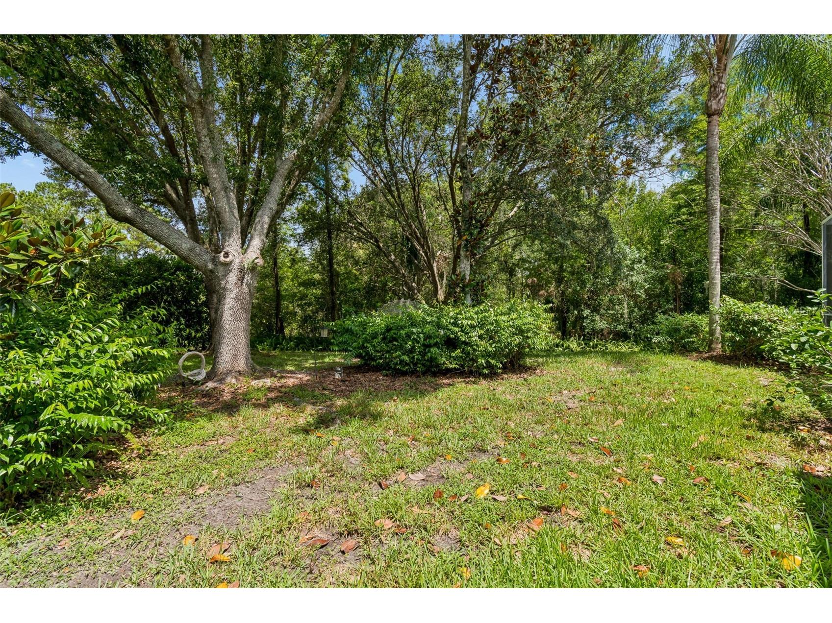 10201 Garden Alcove Drive Tampa FL 33647 TB8525043 image44
