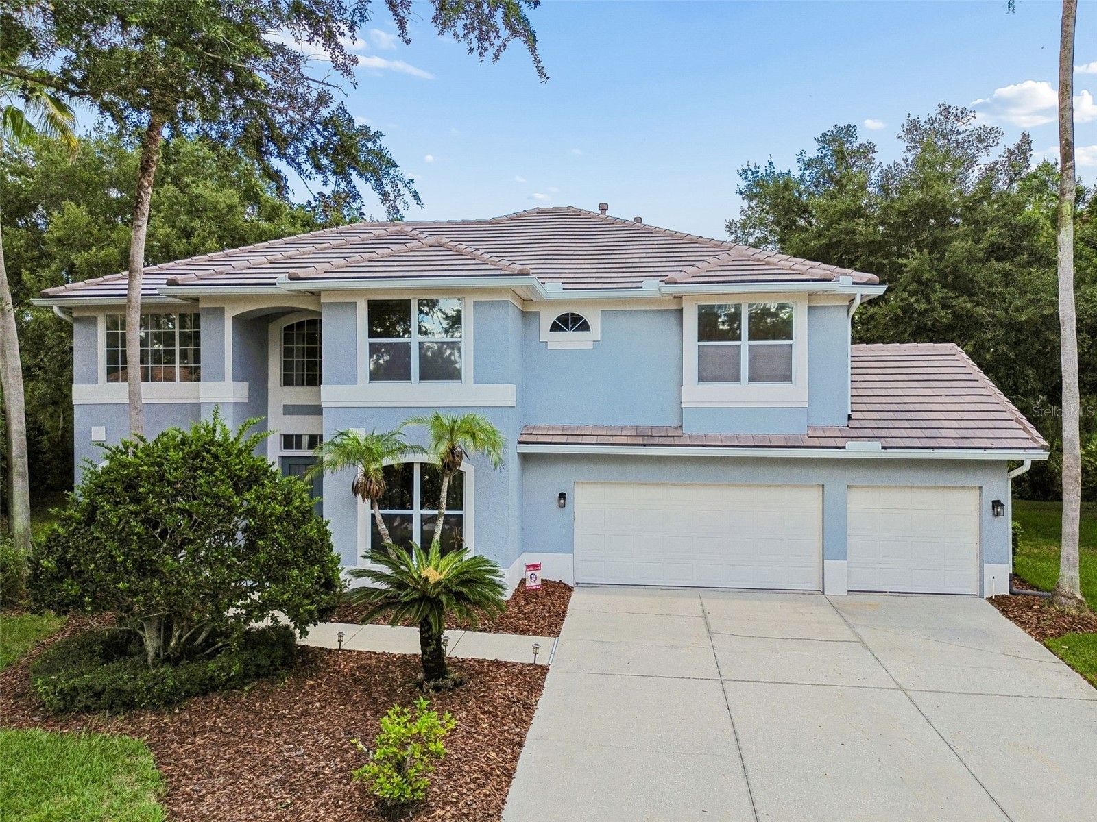 10201 Garden Alcove Drive Tampa FL 33647 TB8525043 image54