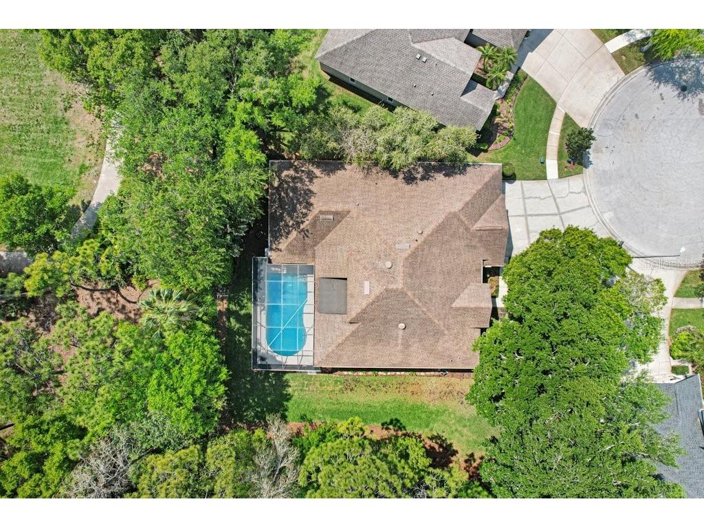 10201 Millport Drive Tampa FL 33626 TB8490461 image52