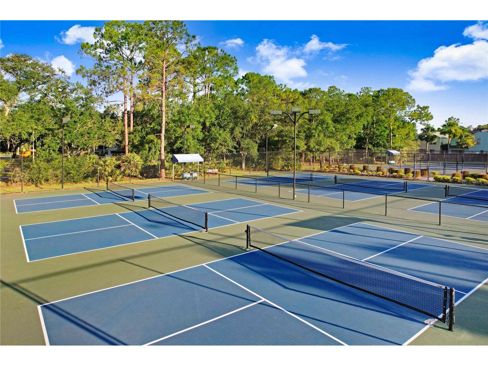 10201 Millport Drive Tampa FL 33626 TB8490461 image55