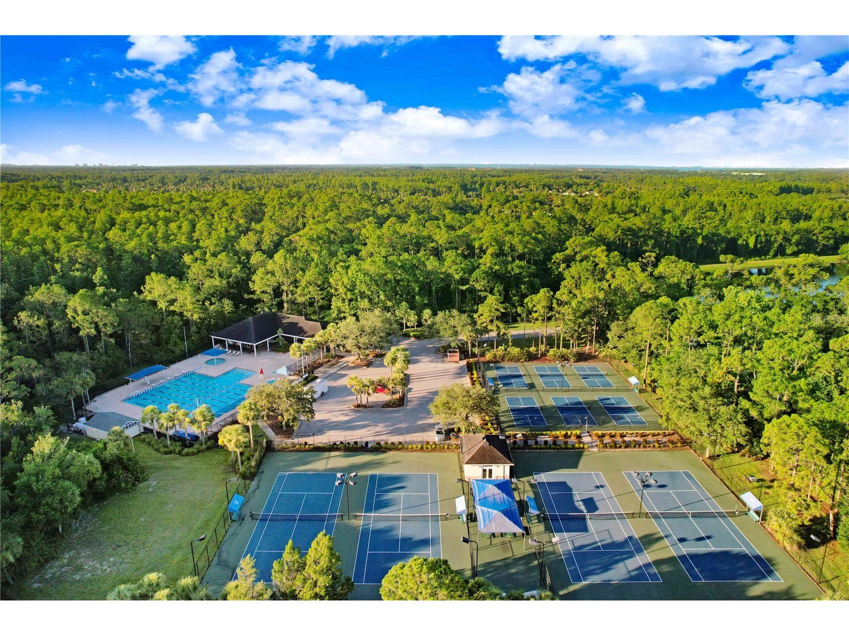 10201 Millport Drive Tampa FL 33626 TB8490461 image56