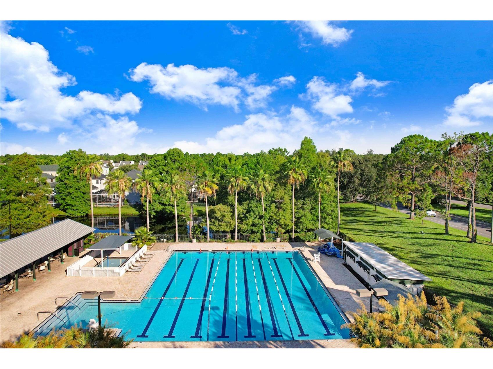 10201 Millport Drive Tampa FL 33626 TB8490461 image59