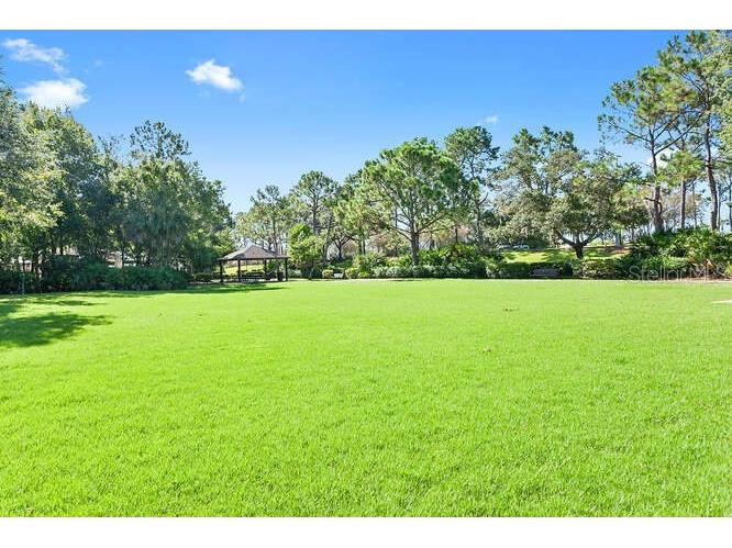 10201 Millport Drive Tampa FL 33626 TB8490461 image65