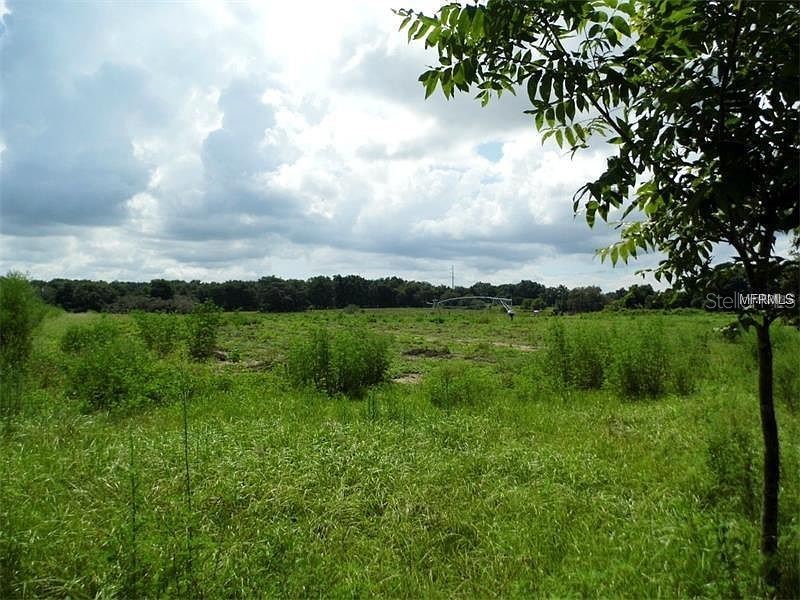 10201 Timmons Road Thonotosassa FL 33592 T3457837 image2