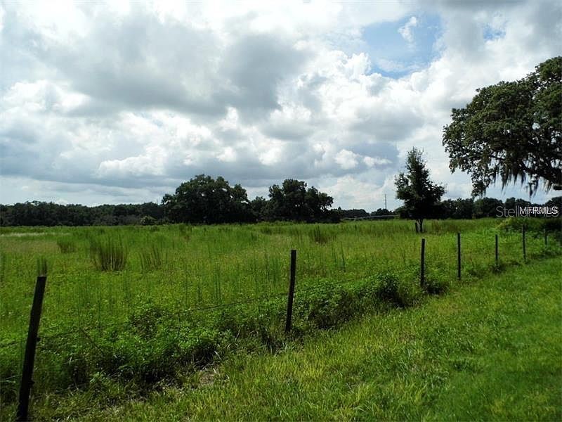 10201 Timmons Road Thonotosassa FL 33592 T3457837 image3