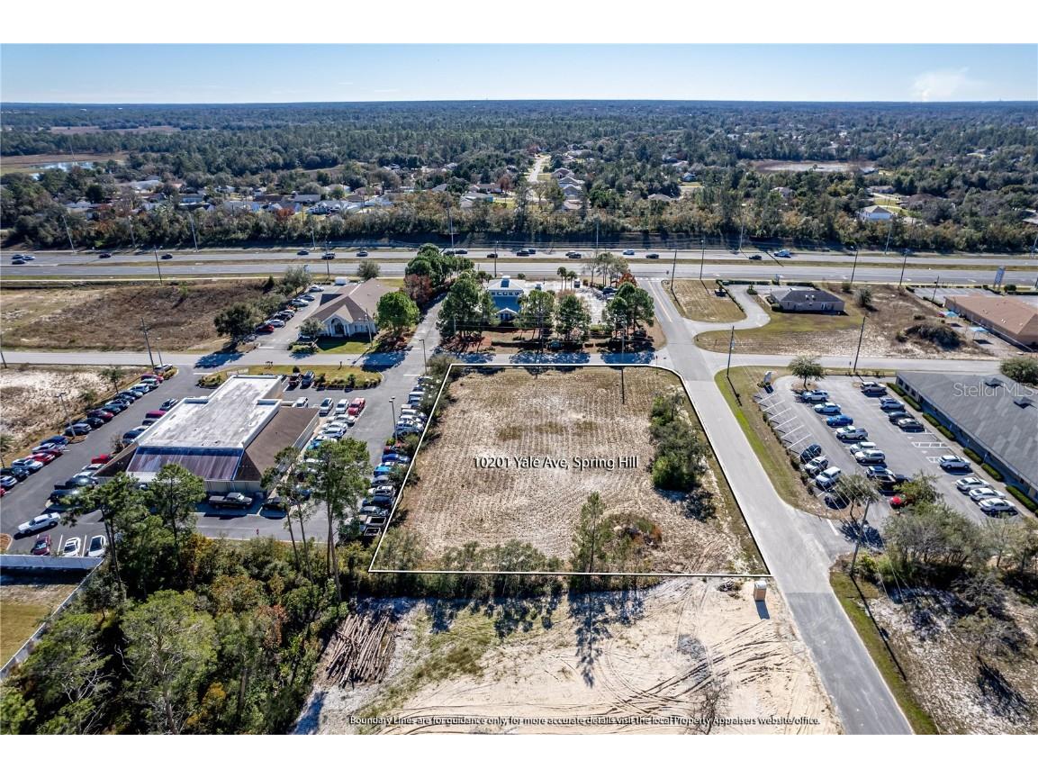 10201 Yale Avenue Weeki Wachee FL 34613 W7851495 image13