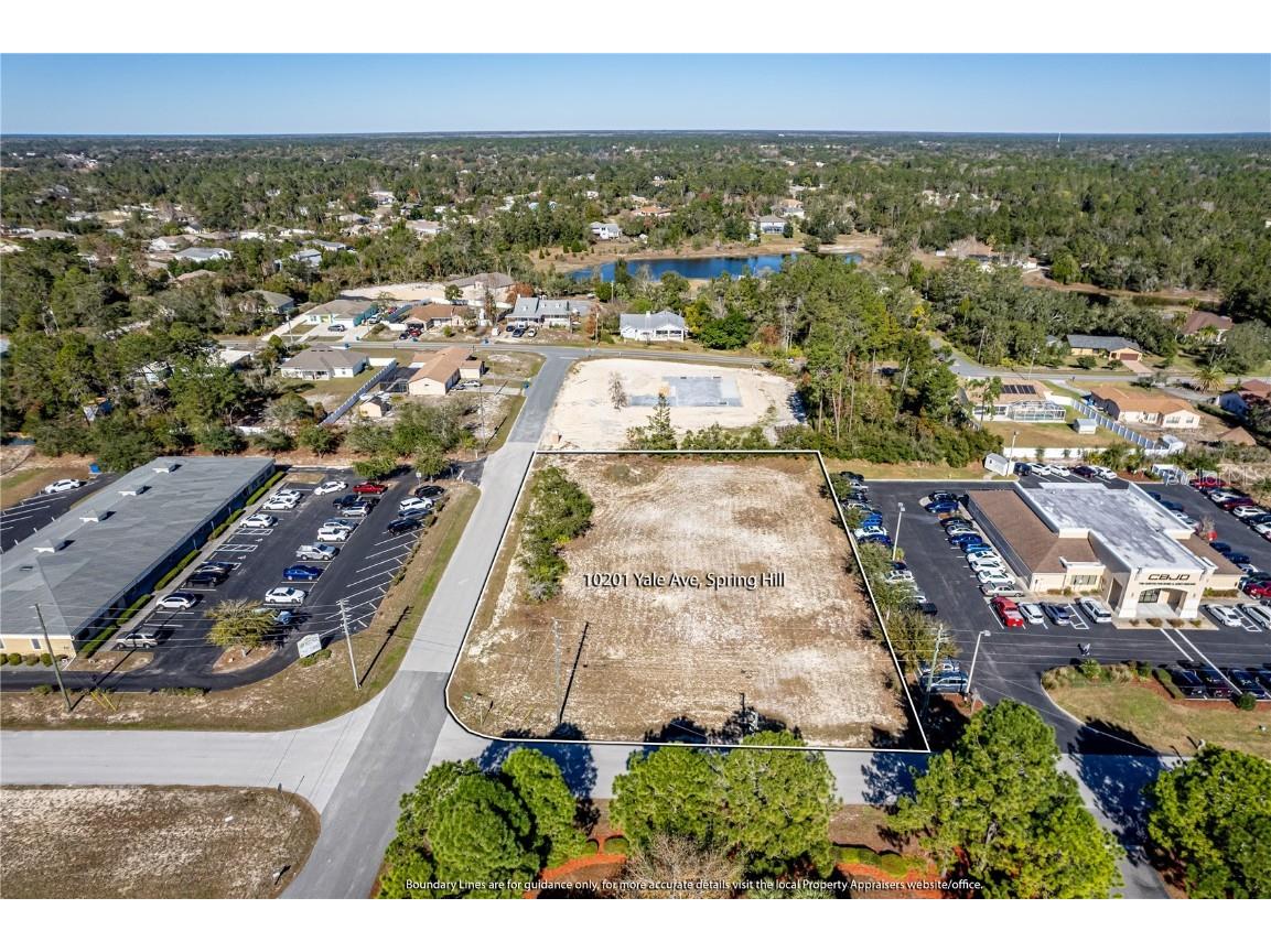 10201 Yale Avenue Weeki Wachee FL 34613 W7851495 image6