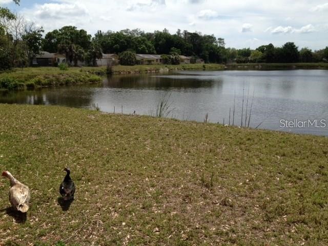 10202 Bonnie Bay Court Tampa FL 33615 TB8458298 image20