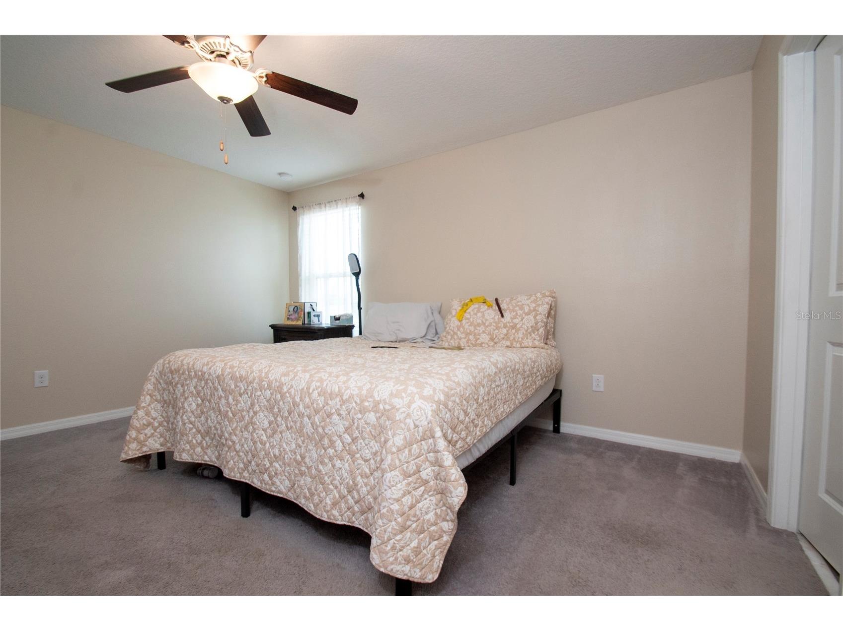 10202 Cool Waterlily Avenue Riverview FL 33578 TB8523707 image10