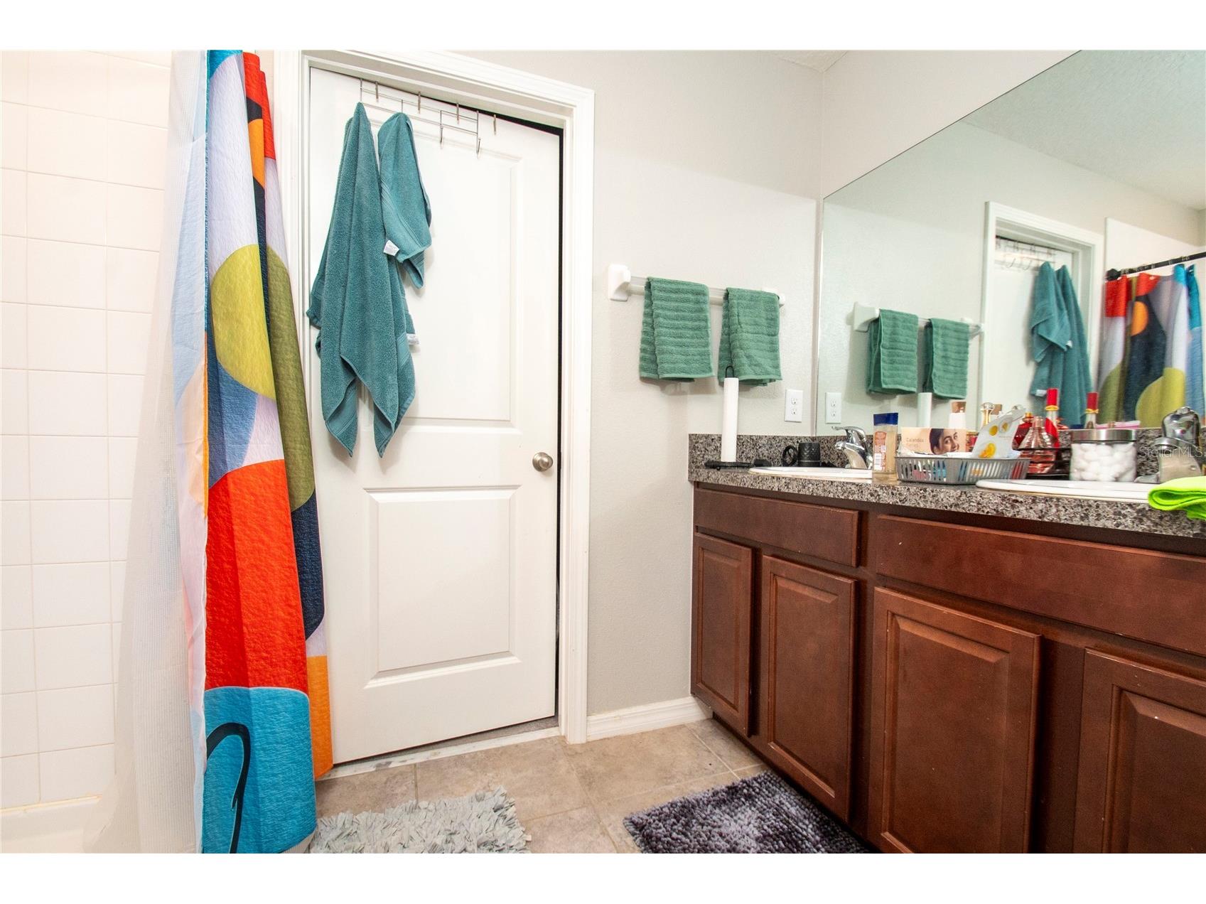 10202 Cool Waterlily Avenue Riverview FL 33578 TB8523707 image11