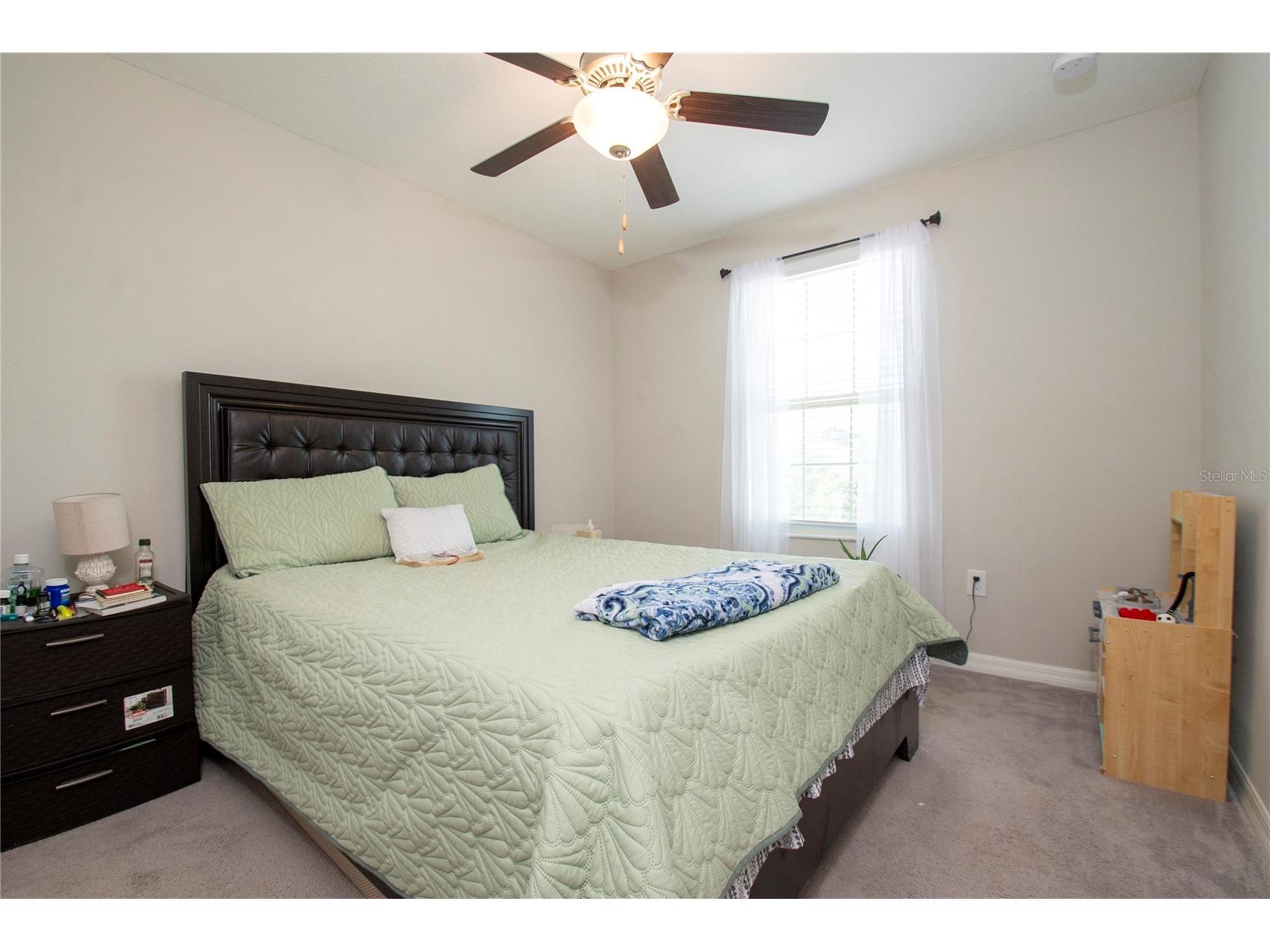 10202 Cool Waterlily Avenue Riverview FL 33578 TB8523707 image13