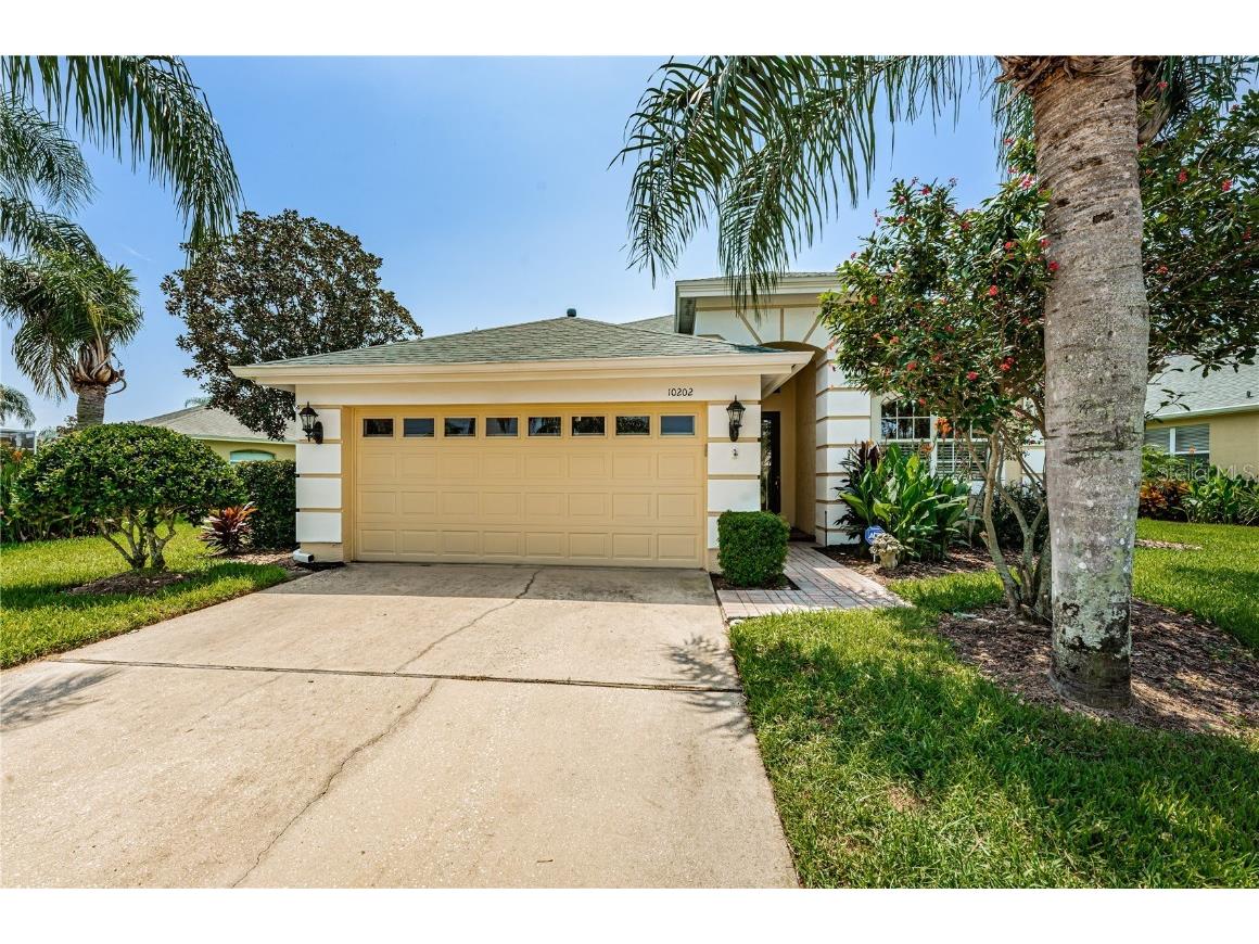 10202 Sorenstam Drive Trinity FL 34655 U8210241 image1