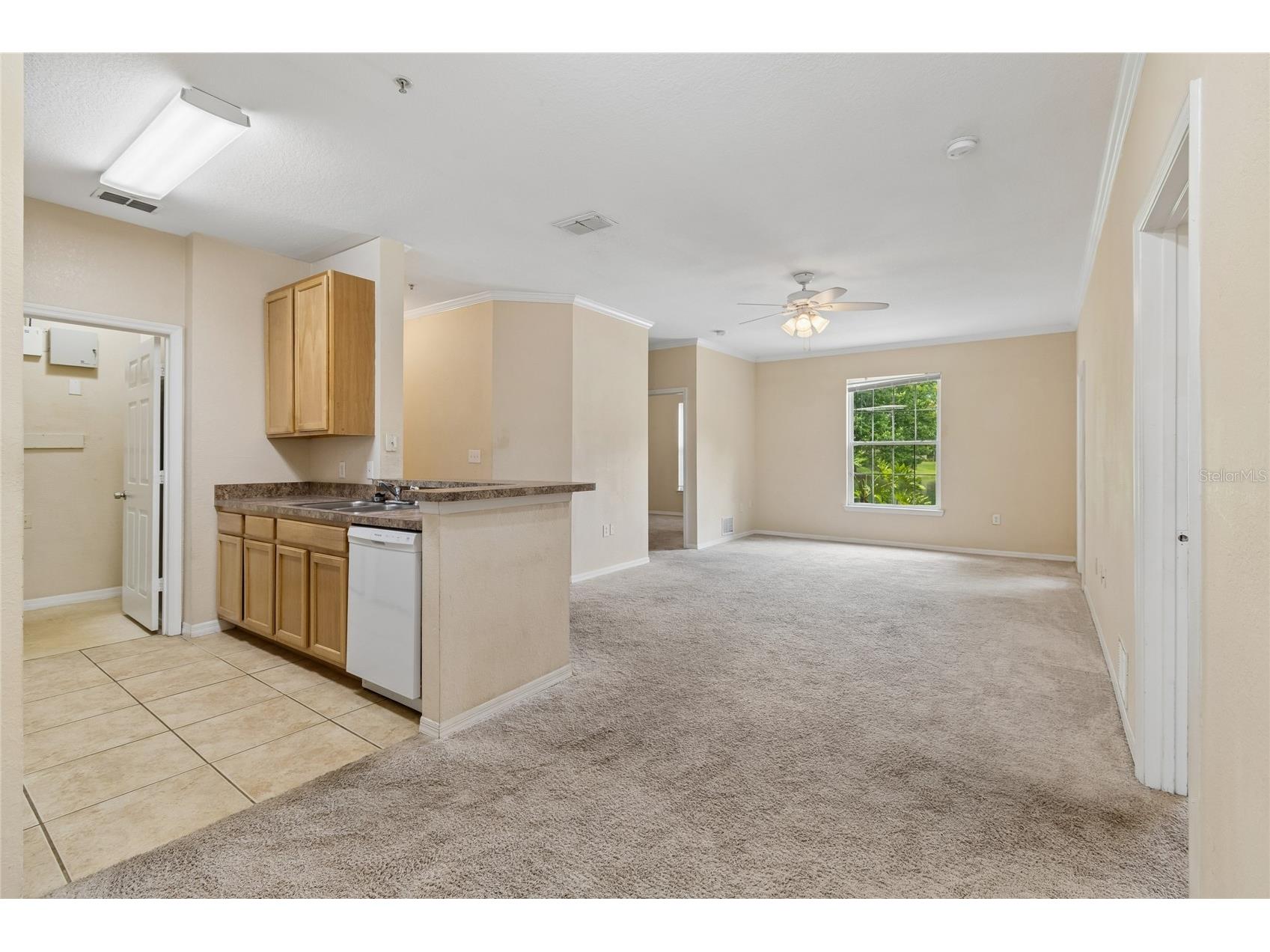 10203 Courtney Palms Boulevard #103 Tampa FL 33619 TB8514963 image13