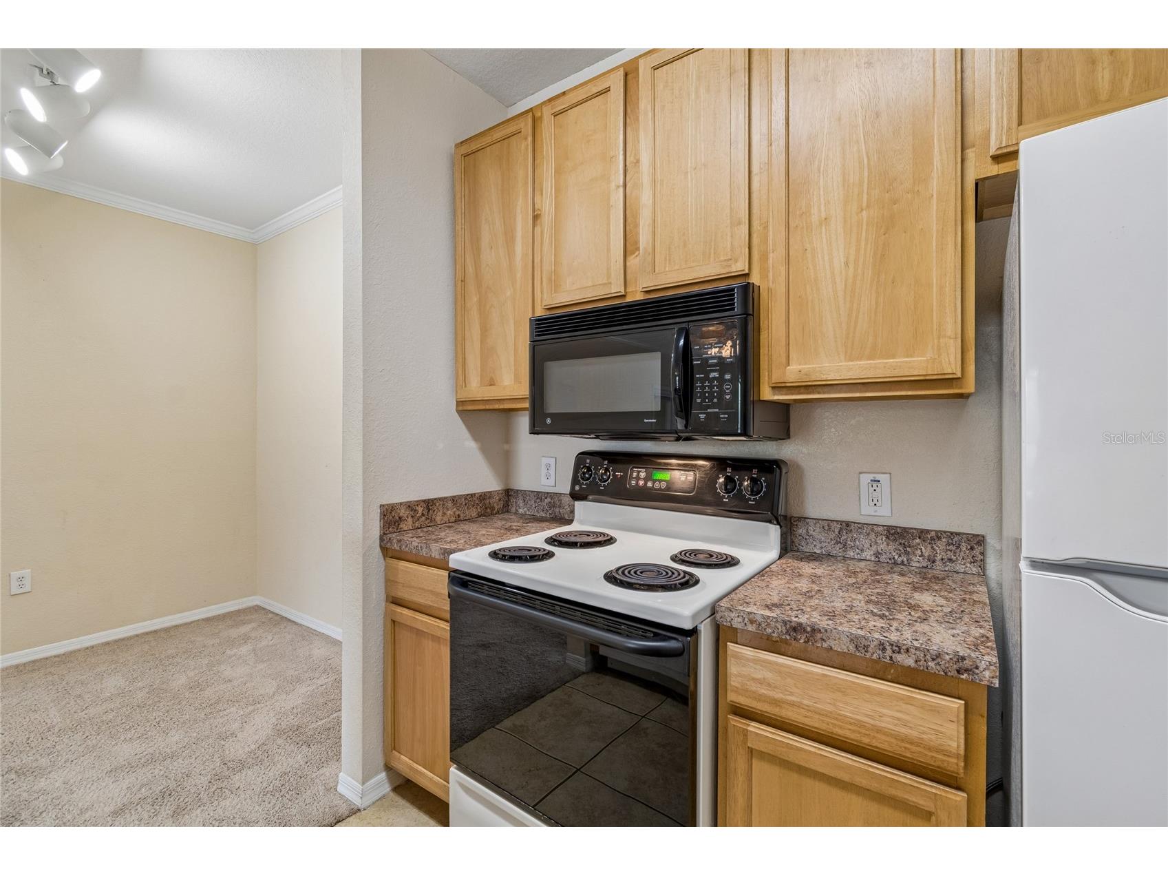 10203 Courtney Palms Boulevard #103 Tampa FL 33619 TB8514963 image18