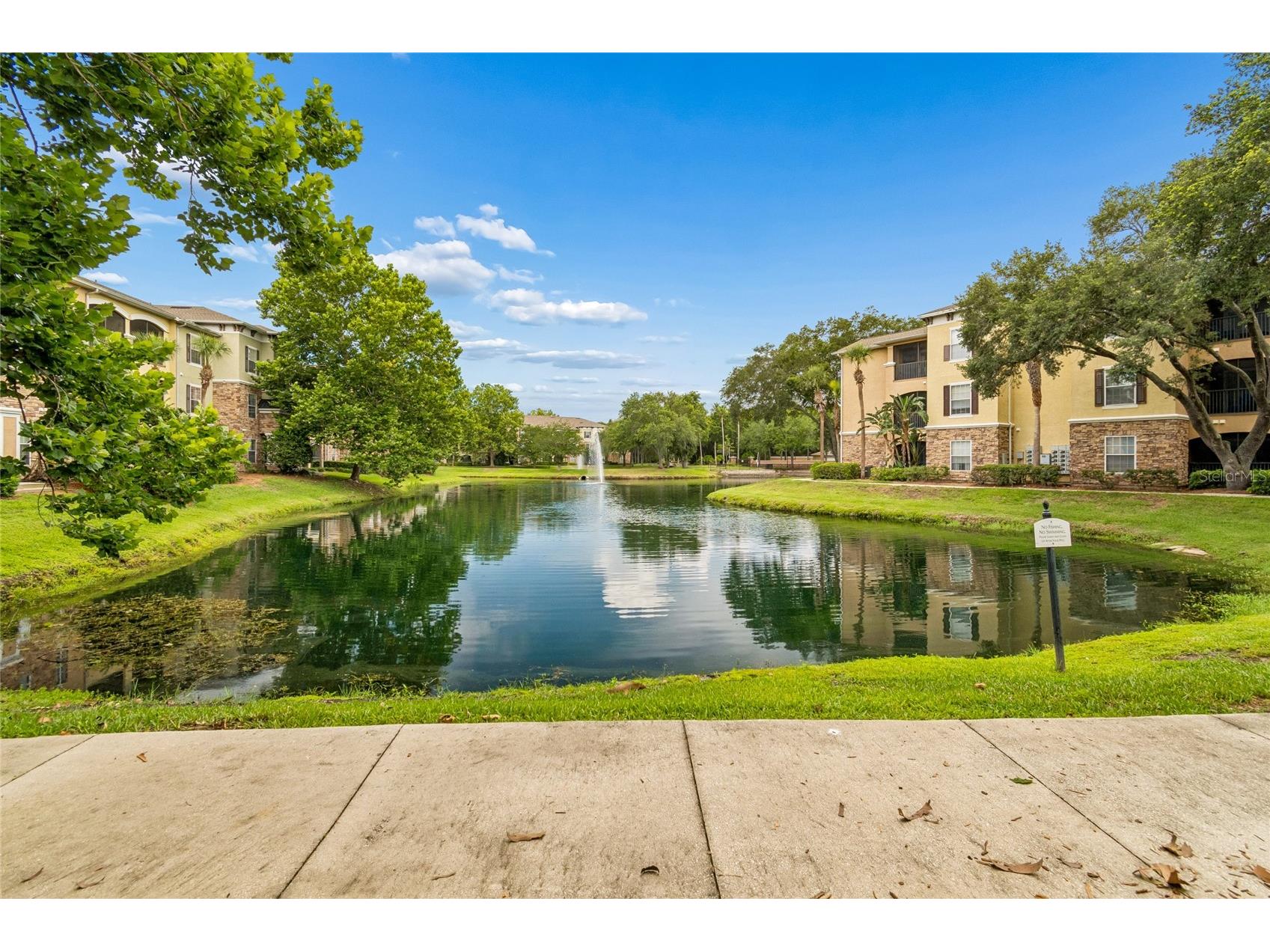 10203 Courtney Palms Boulevard #103 Tampa FL 33619 TB8514963 image4