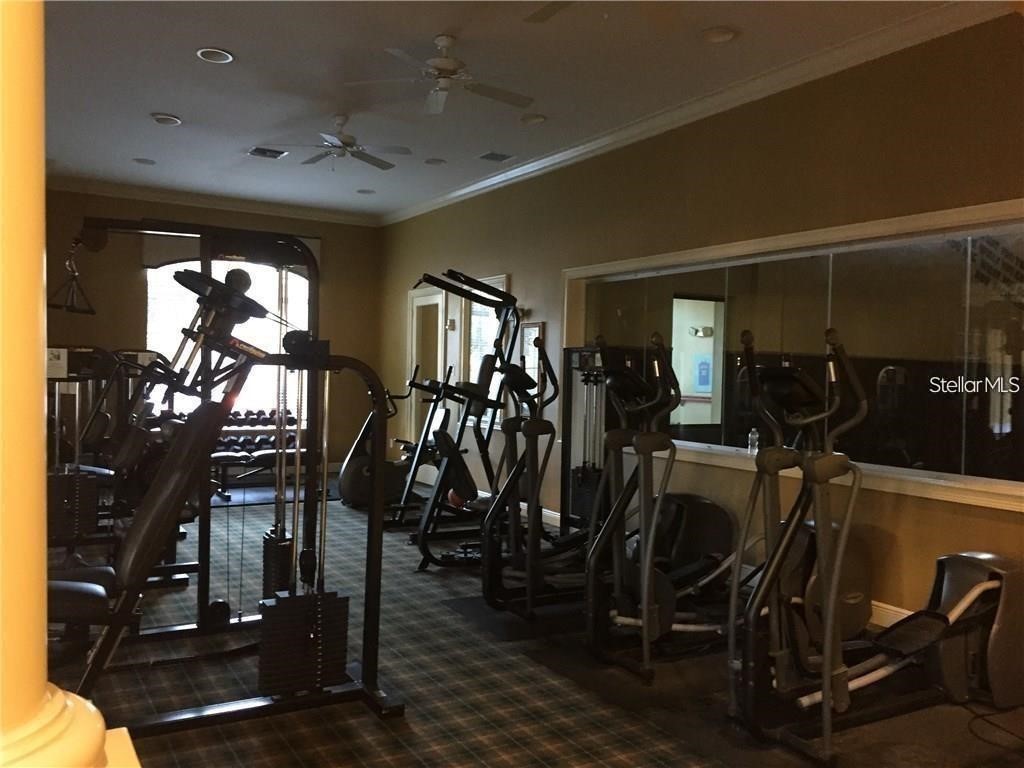 10203 Courtney Palms Boulevard #201 Tampa FL 33619 TB8502004 image4