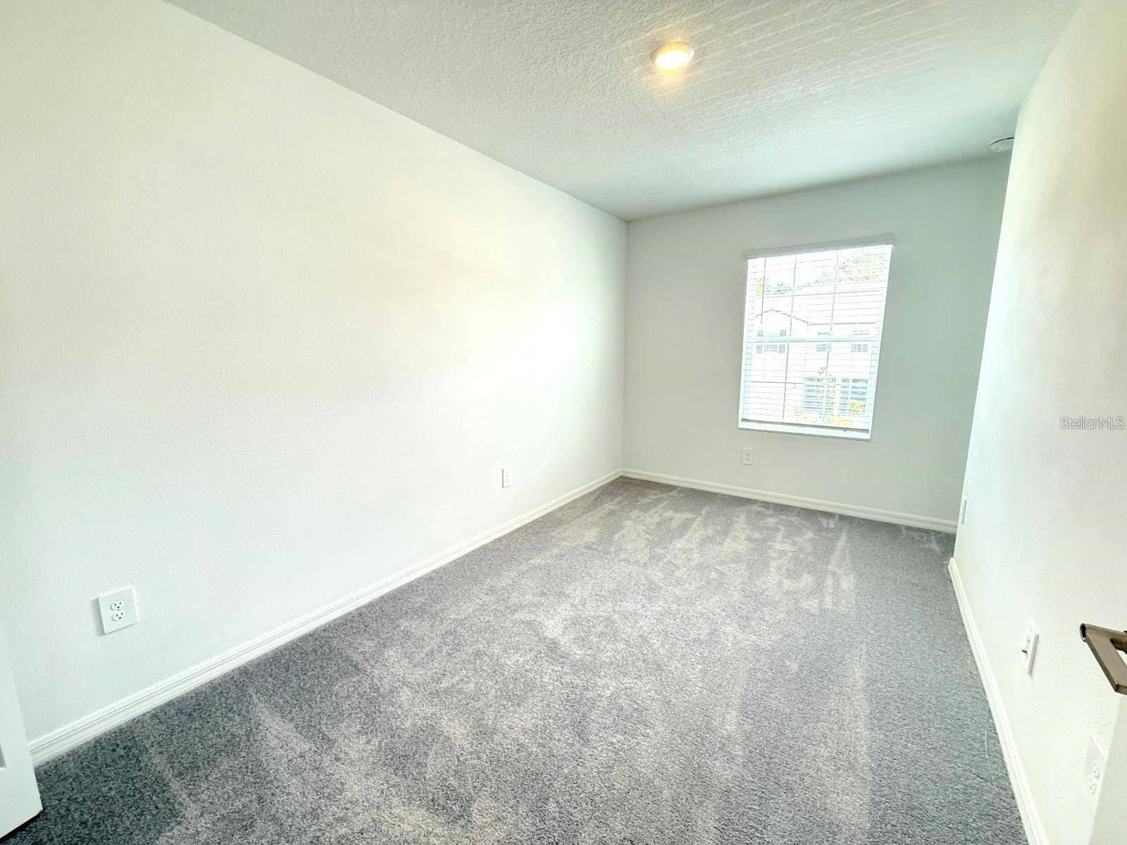 10203 Trumpet Honeysuckle Way San Antonio FL 33576 TB8525981 image12