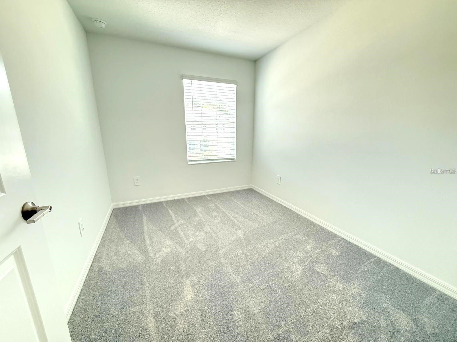 10203 Trumpet Honeysuckle Way San Antonio FL 33576 TB8525981 image13