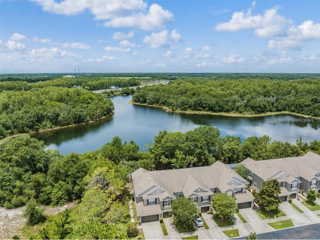 10204 Estero Bay Lane Tampa FL 33625 T3455629 image1