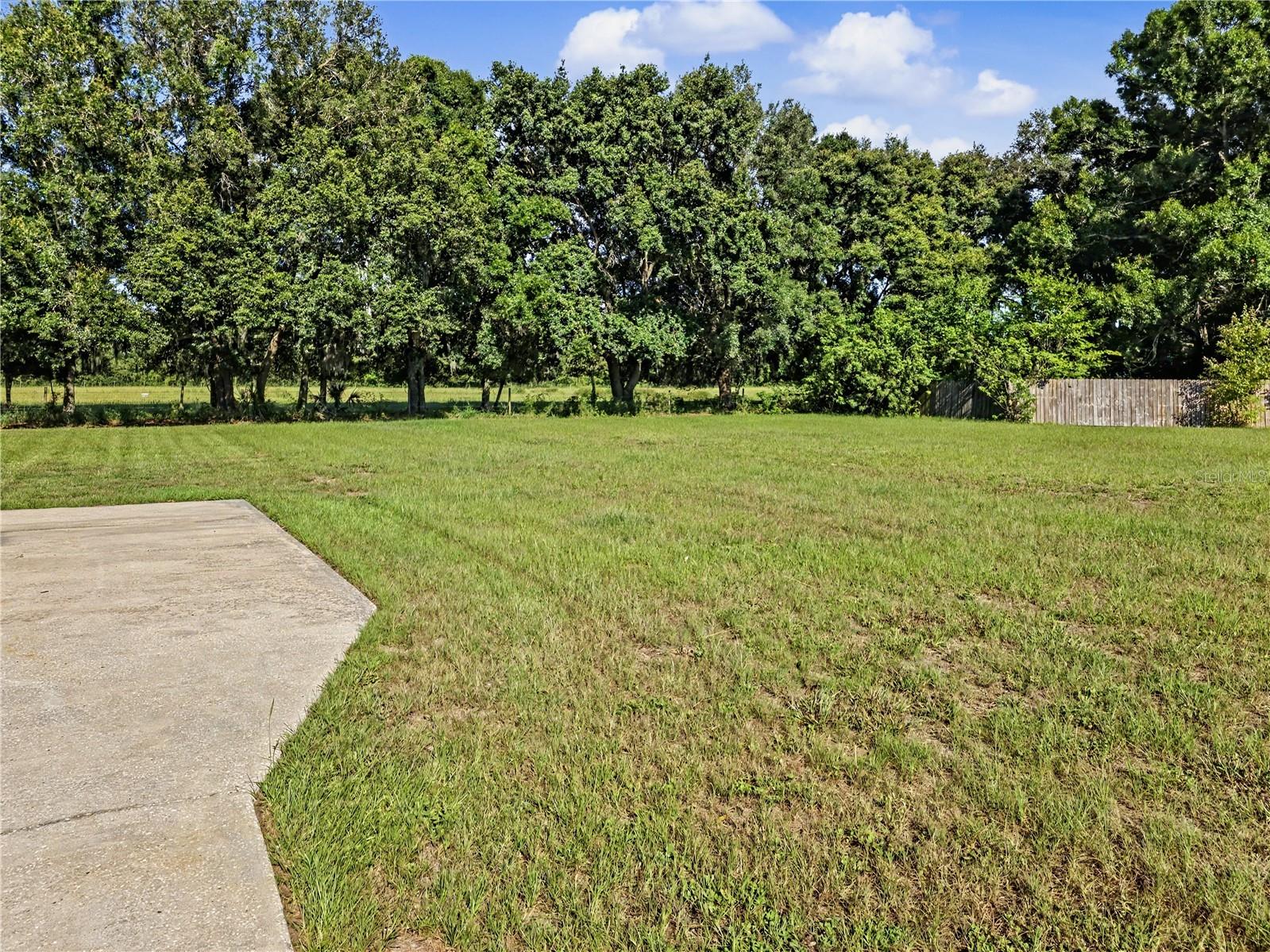 10204 Tranquil Lane Odessa FL 33556 TB8521495 image39