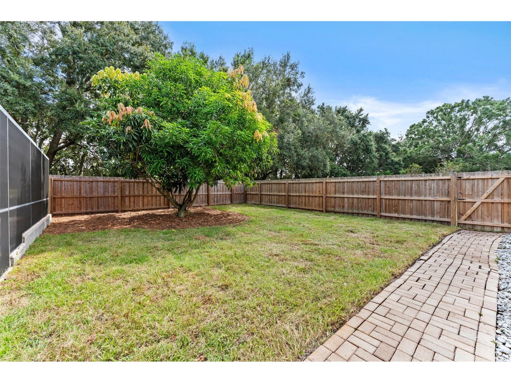 10204 Tranquil Lane Odessa FL 33556 TB8521495 image46