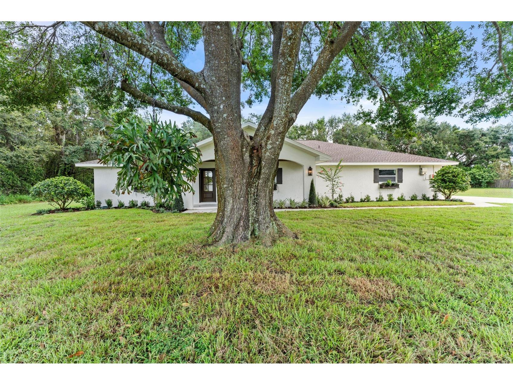 10204 Tranquil Lane Odessa FL 33556 TB8521495 image59