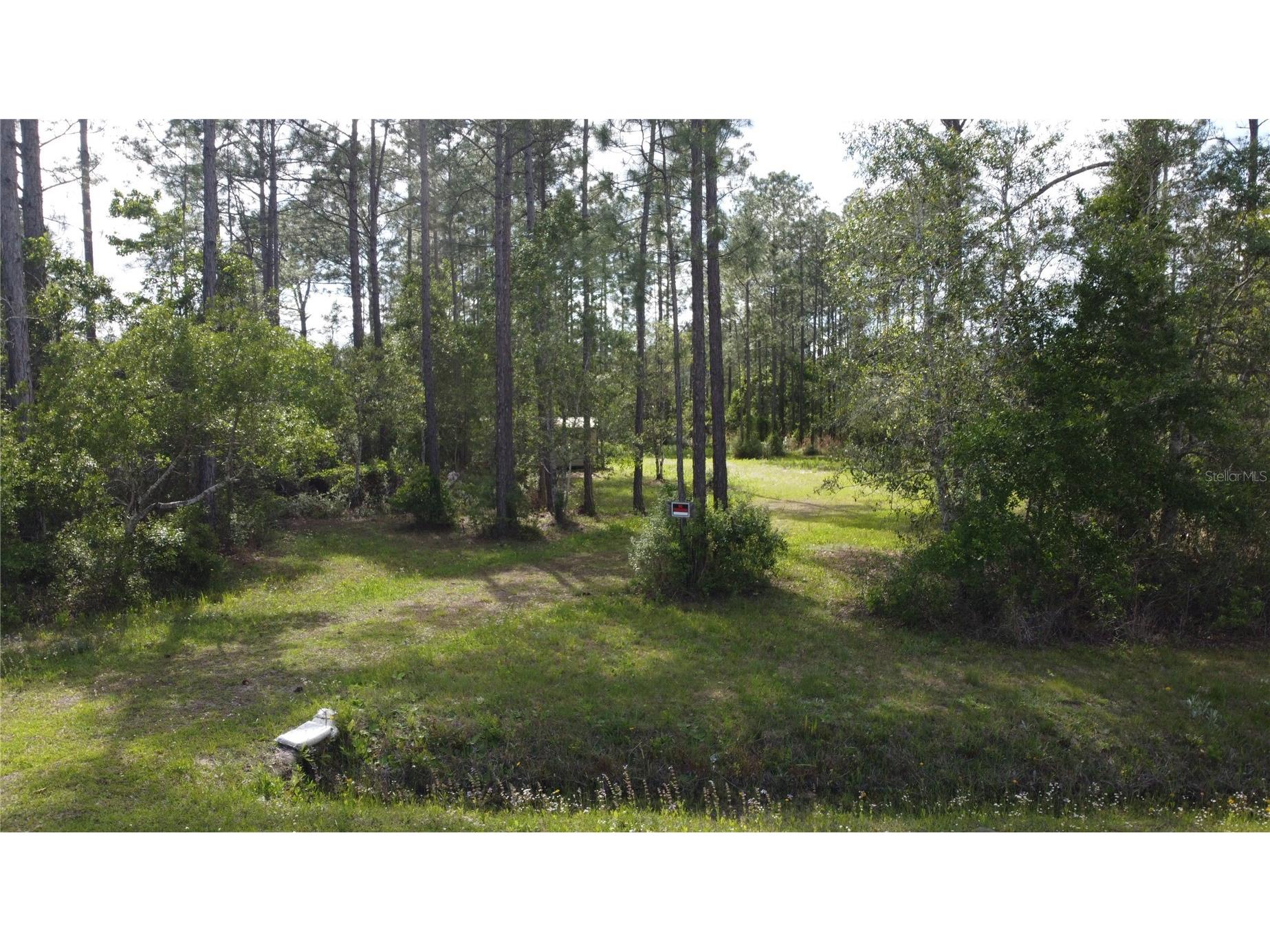 10205 Baylor Avenue Hastings FL 32145 FC317754 image1