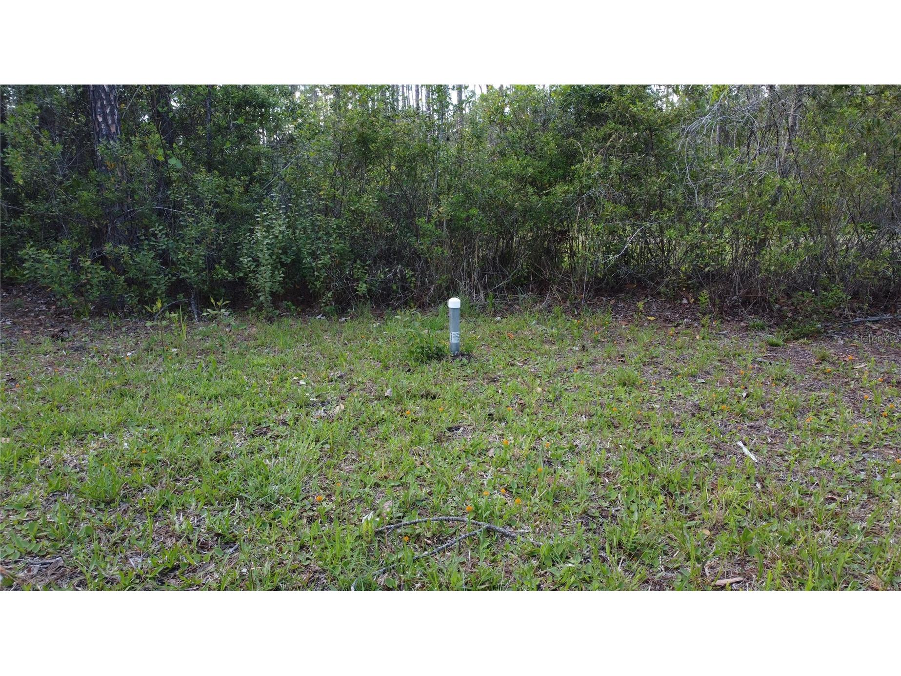 10205 Baylor Avenue Hastings FL 32145 FC317754 image10