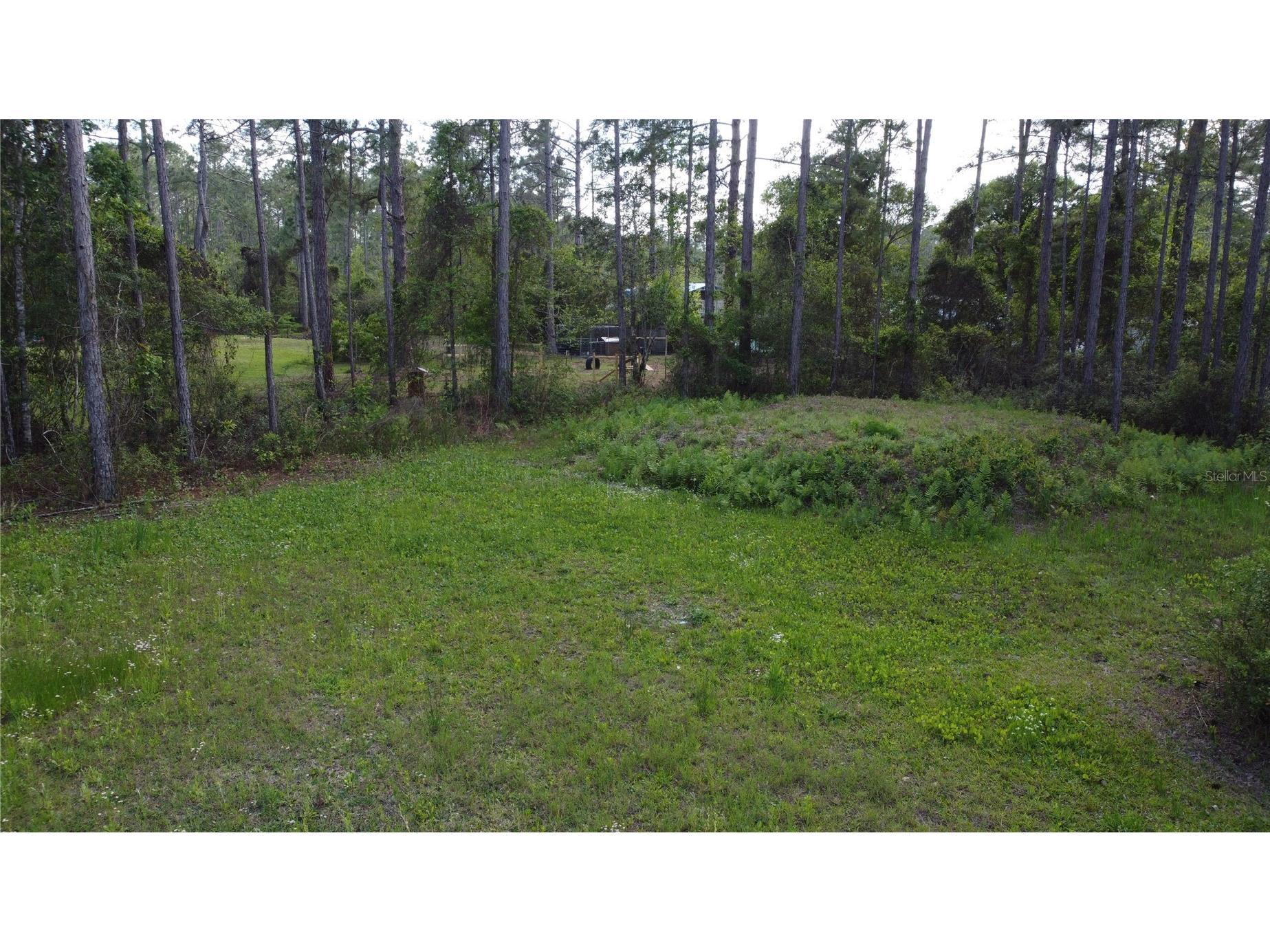 10205 Baylor Avenue Hastings FL 32145 FC317754 image11