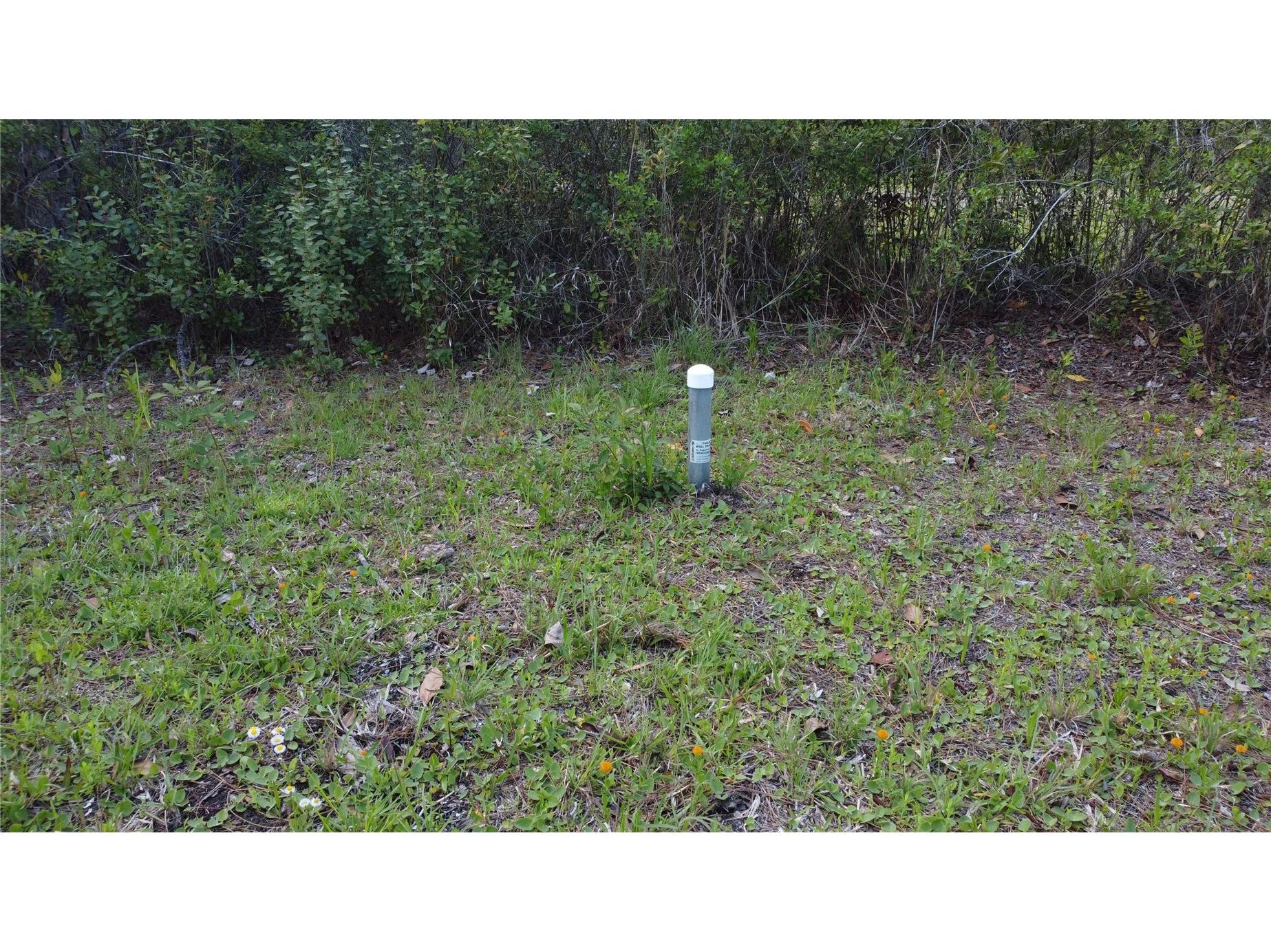 10205 Baylor Avenue Hastings FL 32145 FC317754 image12