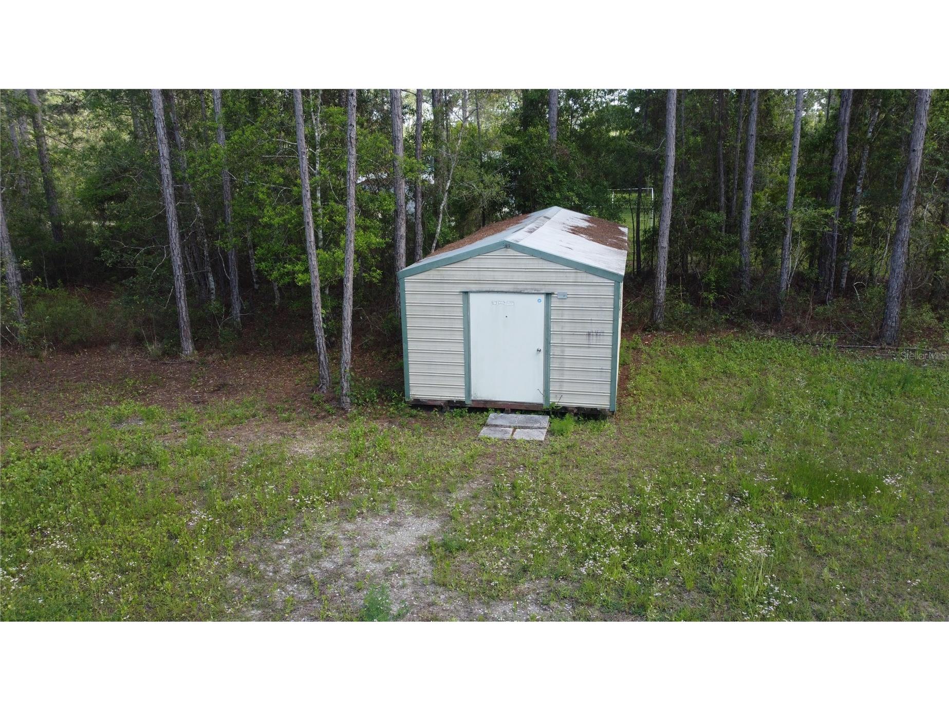 10205 Baylor Avenue Hastings FL 32145 FC317754 image13