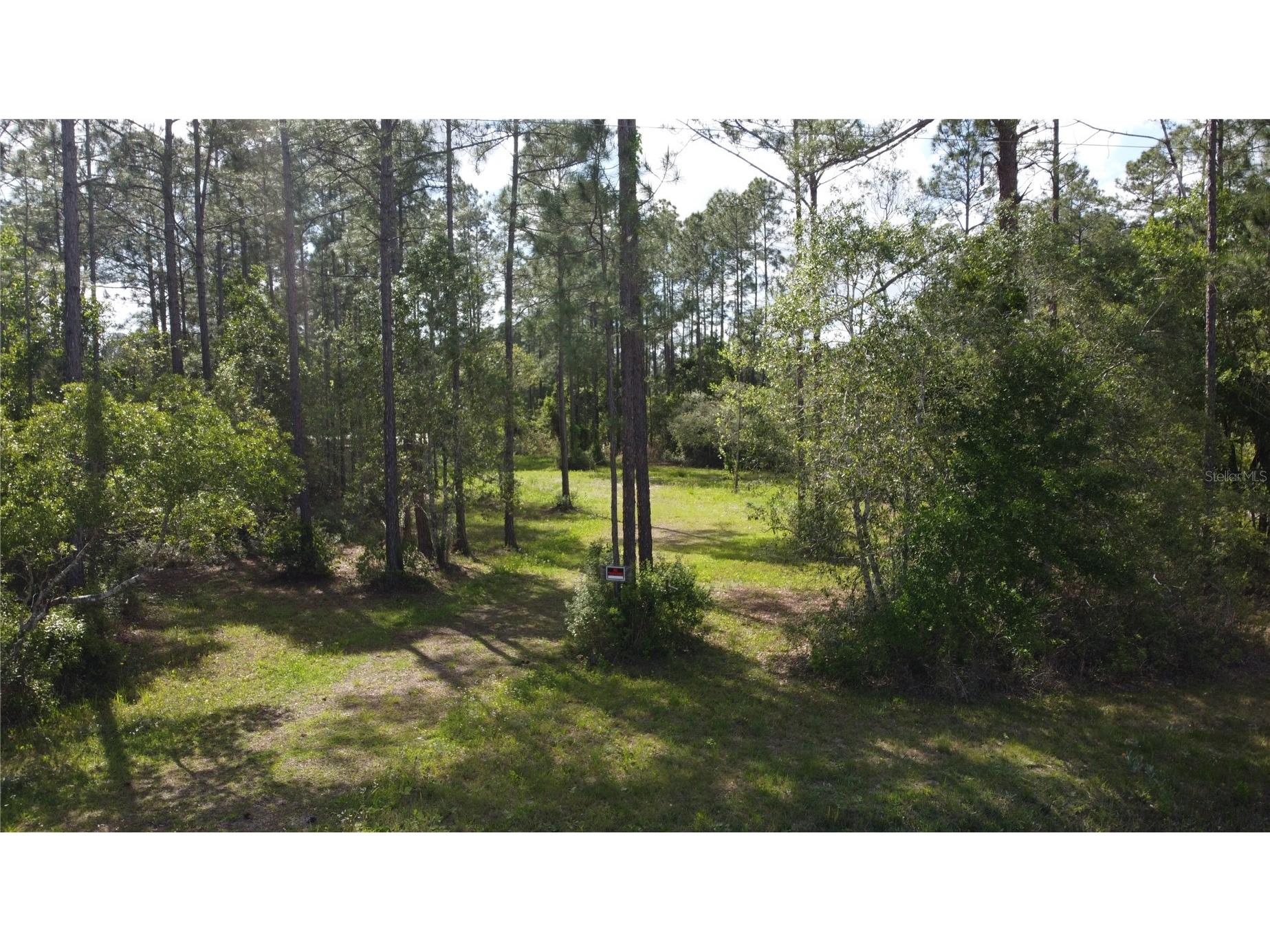 10205 Baylor Avenue Hastings FL 32145 FC317754 image2