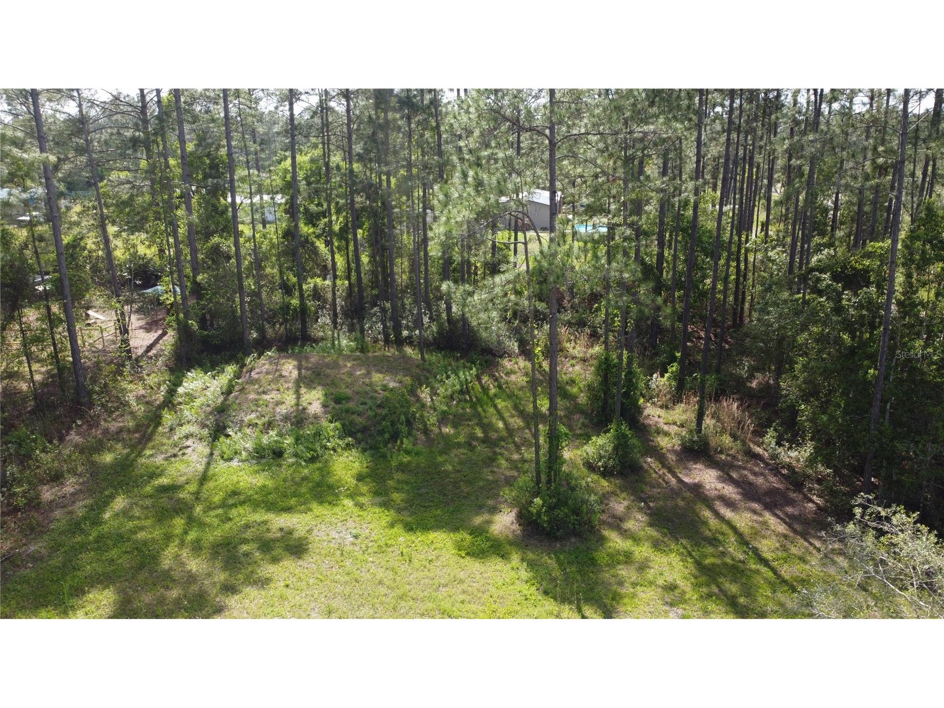 10205 Baylor Avenue Hastings FL 32145 FC317754 image3