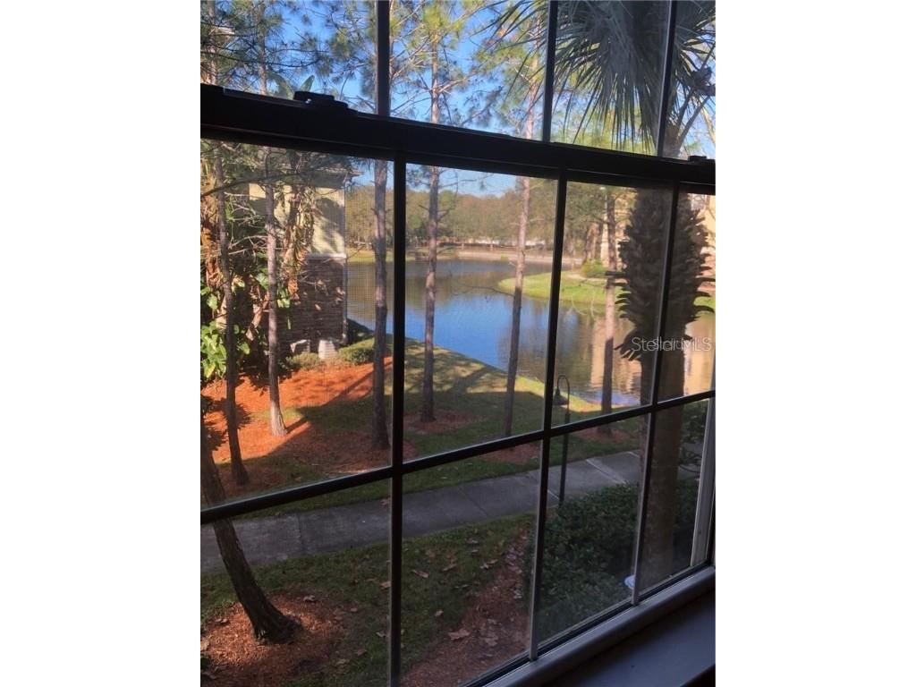 10205 Courtney Palms Boulevard #203 Tampa FL 33619 TB8455075 image18