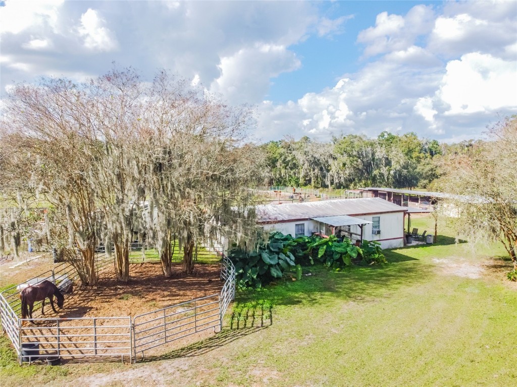 10205 Lyons Avenue Lithia FL 33547 T3345934 image1