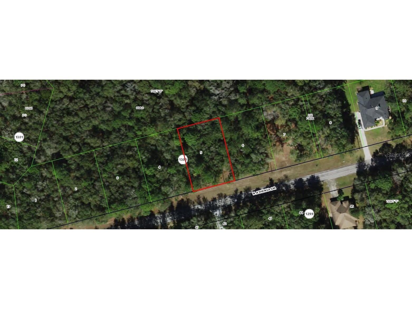 10205 N Athenia Drive Citrus Springs FL 34434 R4910204 image1