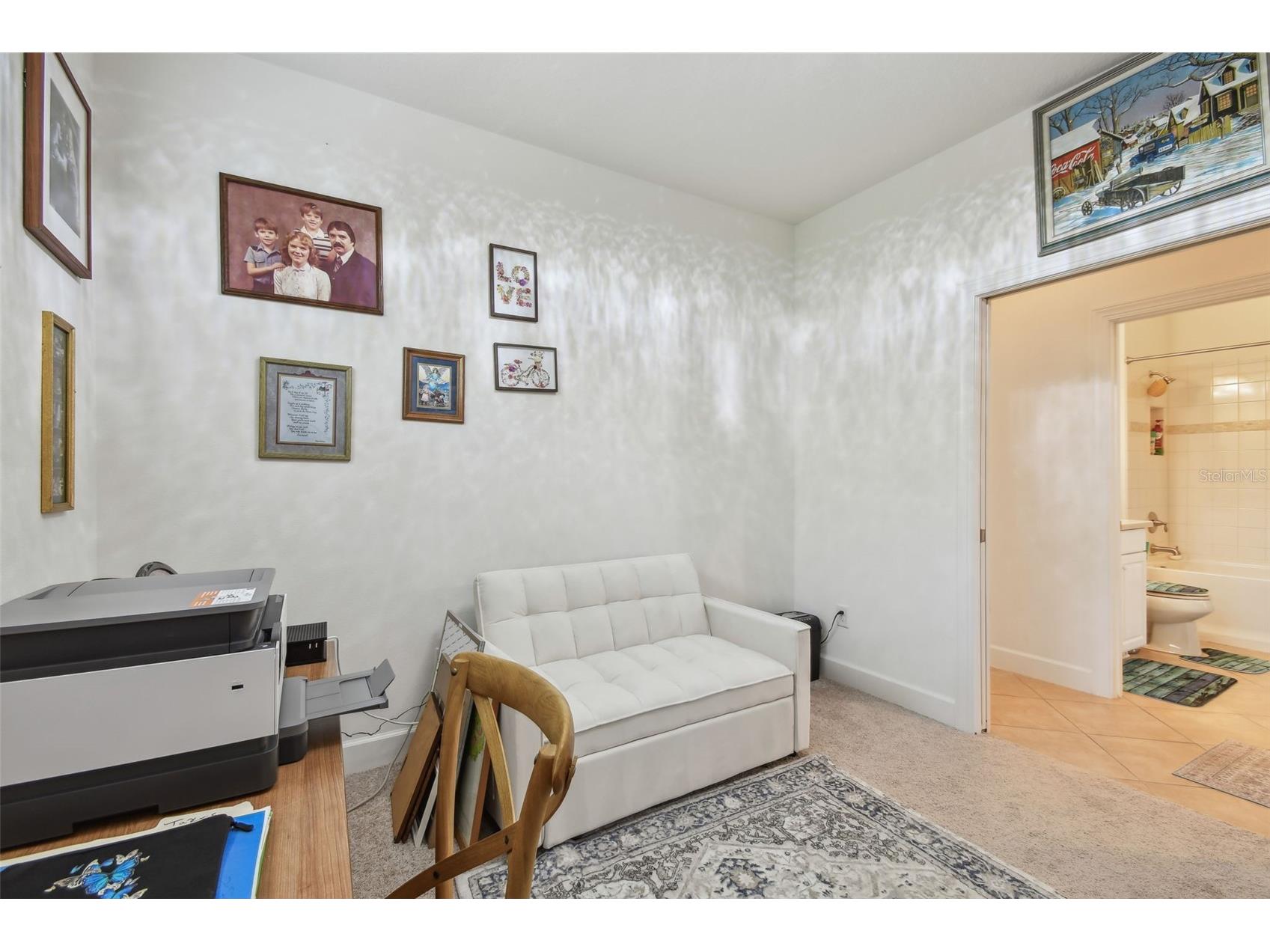 10205 Saint Francis Terrace Palmetto FL 34221 A4688993 image21