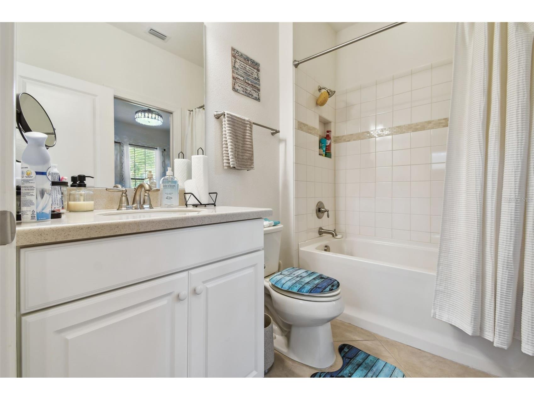 10205 Saint Francis Terrace Palmetto FL 34221 A4688993 image25