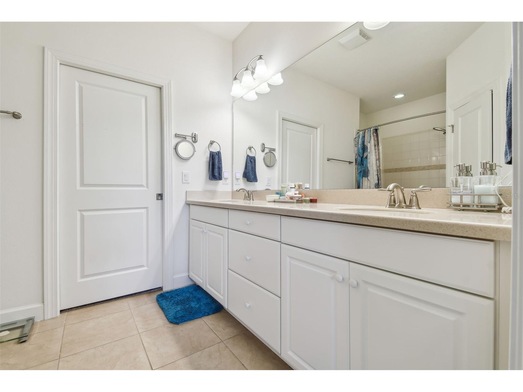 10205 Saint Francis Terrace Palmetto FL 34221 A4688993 image28