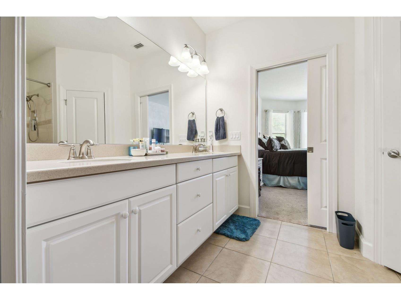 10205 Saint Francis Terrace Palmetto FL 34221 A4688993 image29