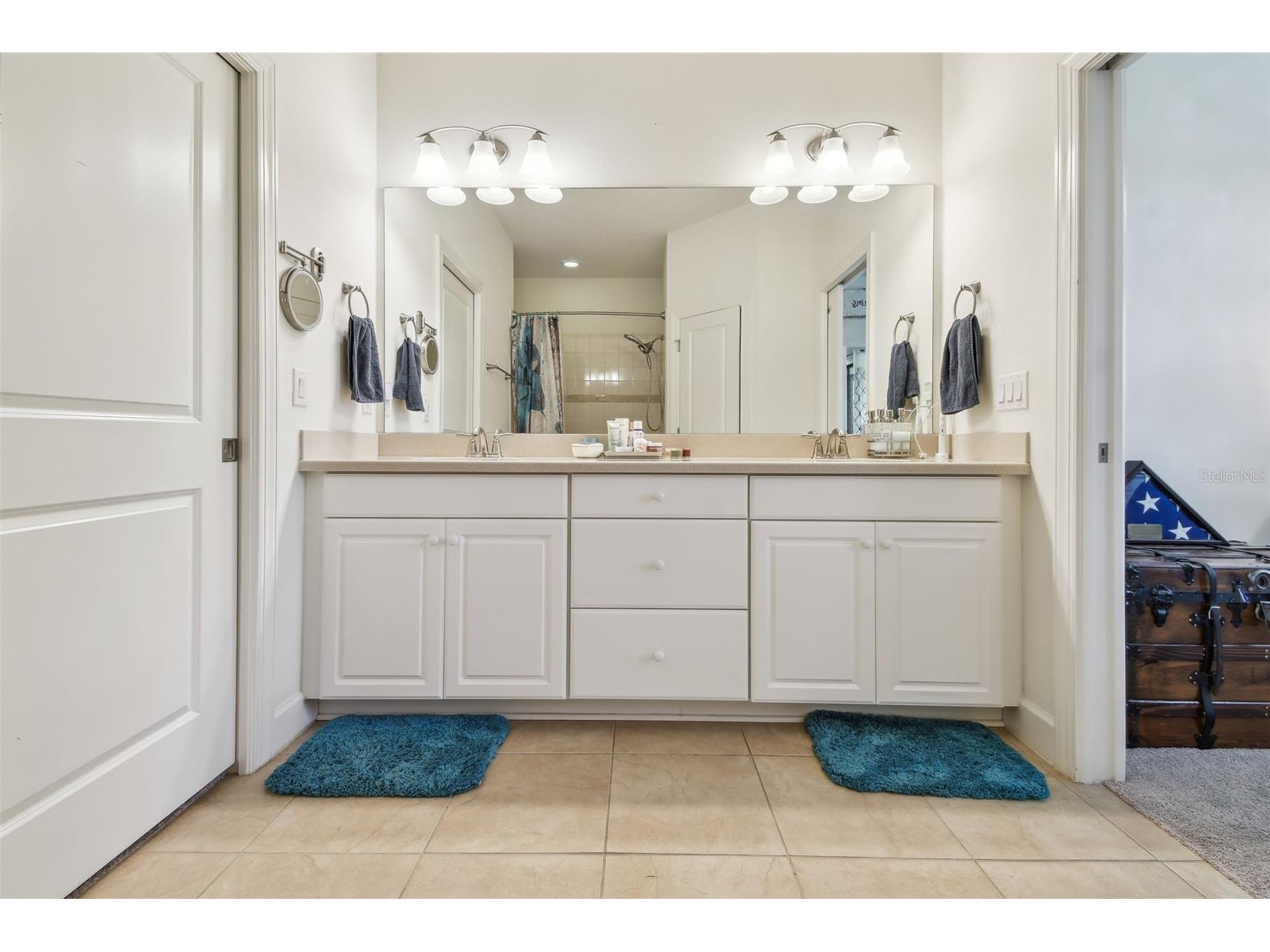 10205 Saint Francis Terrace Palmetto FL 34221 A4688993 image30