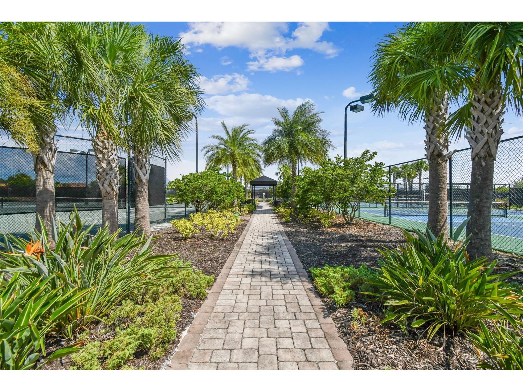 10205 Saint Francis Terrace Palmetto FL 34221 A4688993 image59