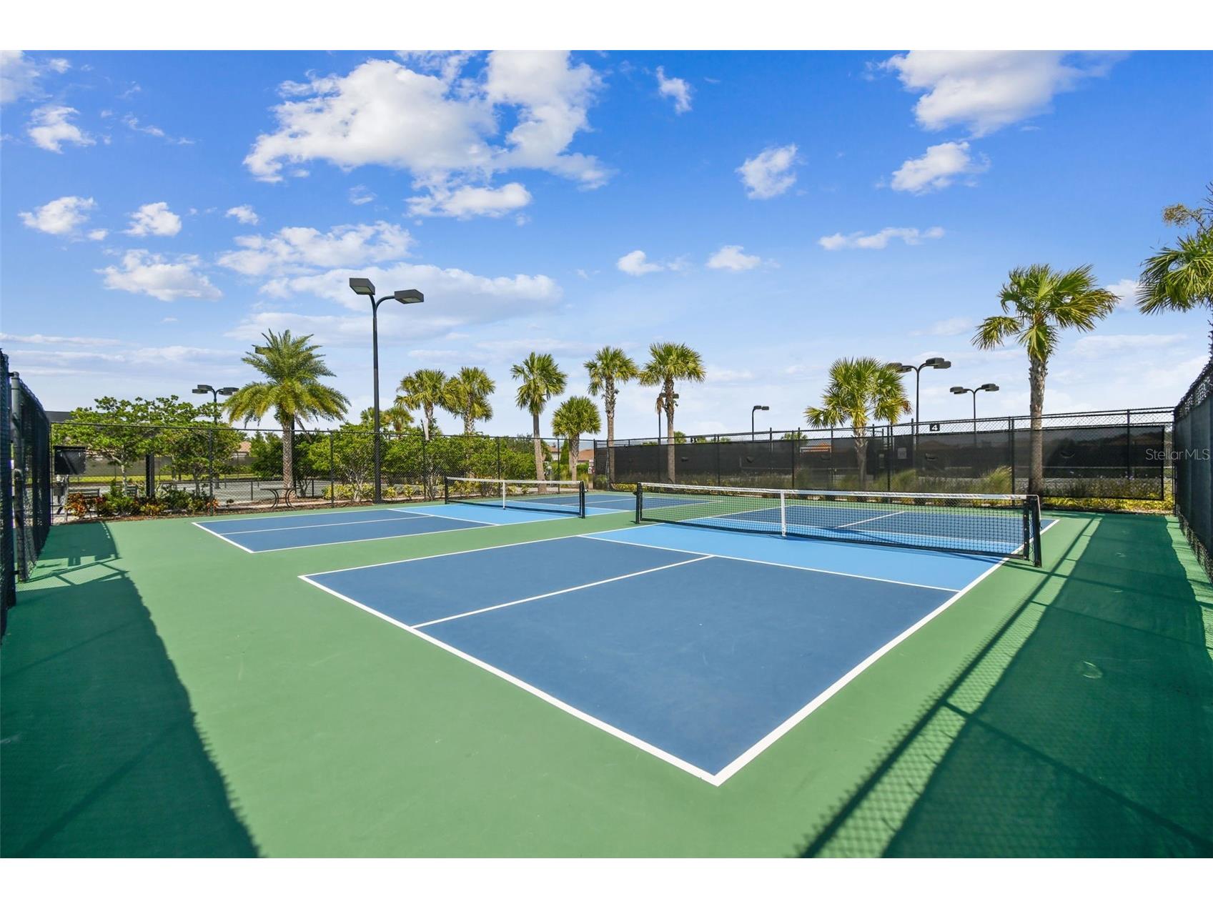 10205 Saint Francis Terrace Palmetto FL 34221 A4688993 image61