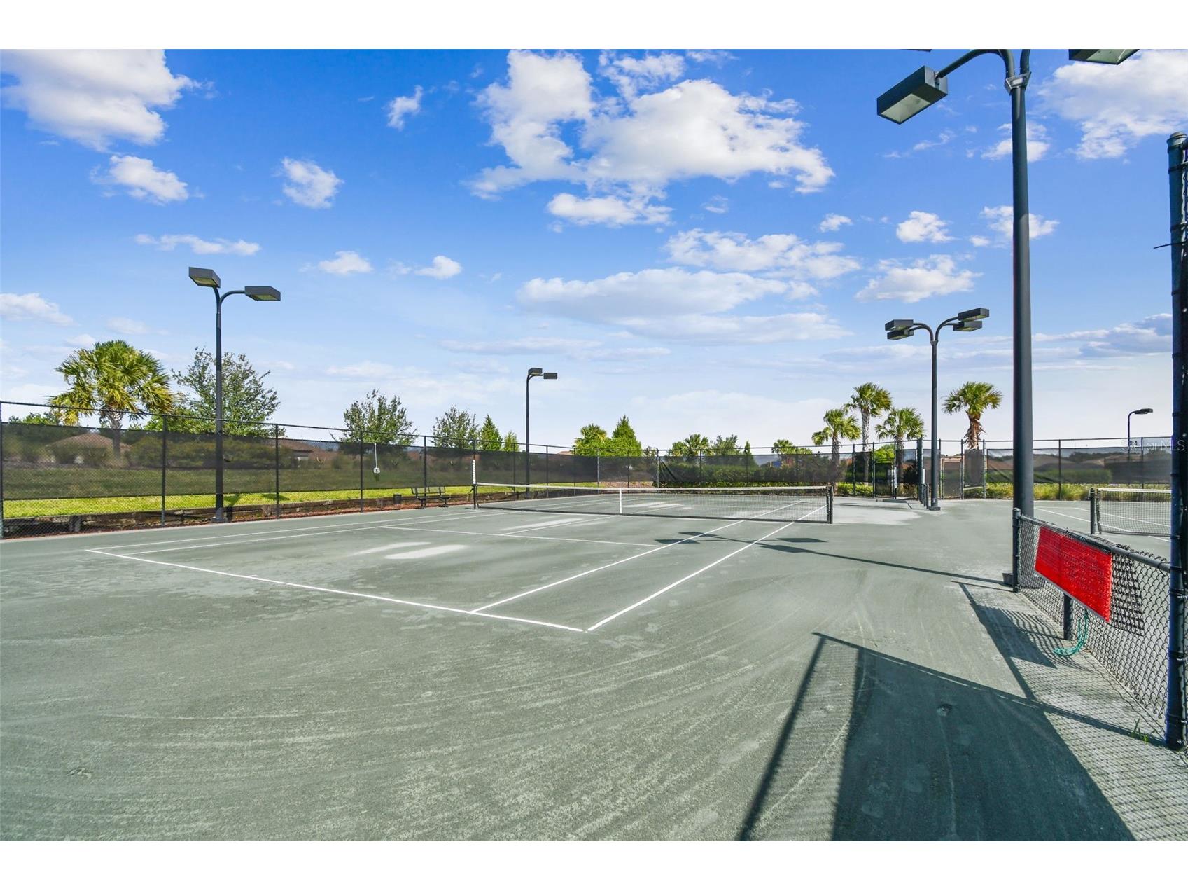 10205 Saint Francis Terrace Palmetto FL 34221 A4688993 image62